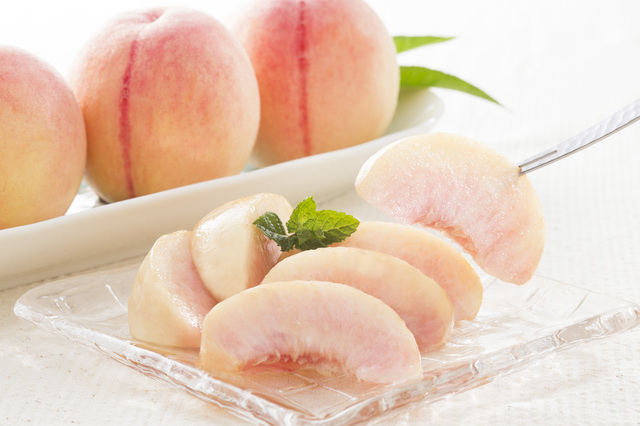 川中島白桃の苗木（販売） - 果樹苗木の生産・販売 株式会社吉岡国光園（苗木屋）