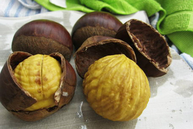 美玖里の苗木（販売） - 果樹苗木の生産・販売 株式会社吉岡国光園（苗木屋）